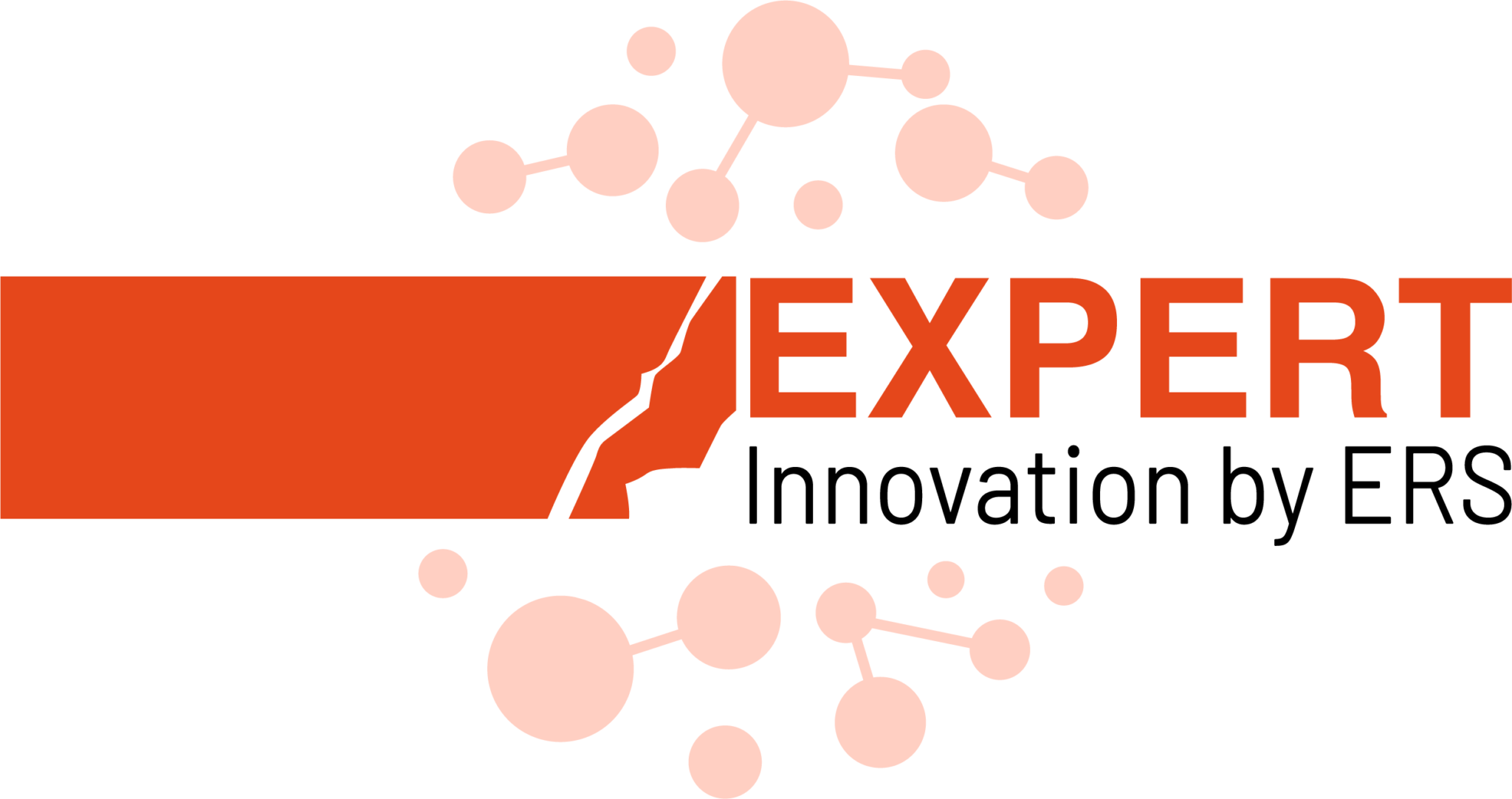 Logo Expert by ERS